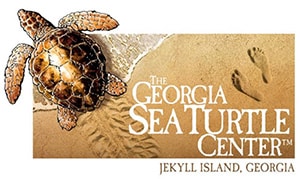 The Georgia Sea Turtle Center
